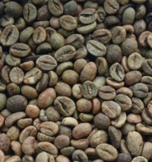 Robusta Grade 1 2% BB green coffee