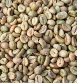Robusta Grade 1 Clean green coffee