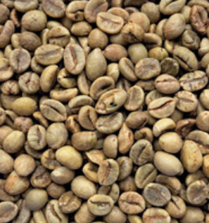 Robusta Grade 1 Screen 16 Wet Polished green coffee beans