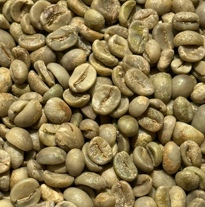 Robusta Grade 1 Wet Polished green coffee