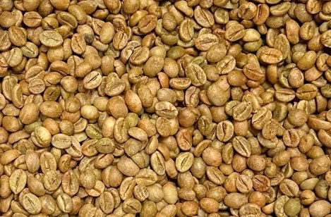 Specialty Robusta Honey green coffee