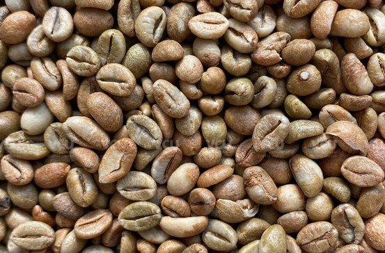Robusta Natural specialty green coffee beans