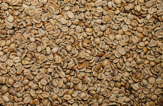 Arabica Honey specialty green coffee beans