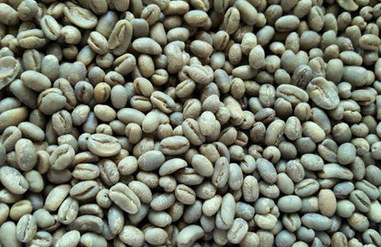 Arabica Peaberry specialty green coffee beans