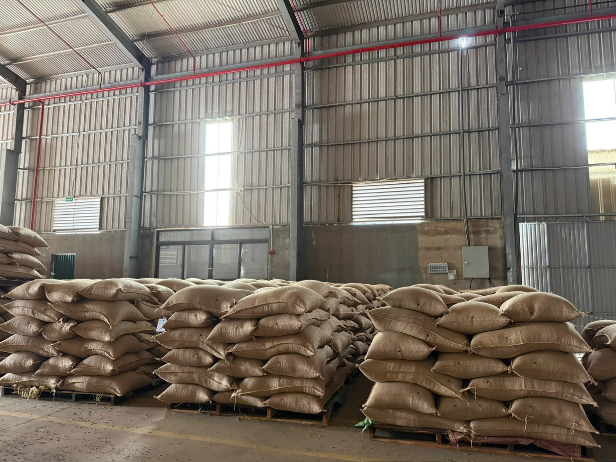 Green coffee warehouse