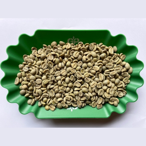 Arabica Cau Dat green coffee