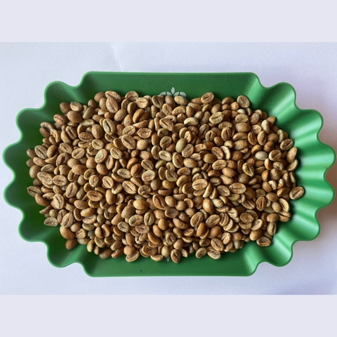 Robusta natural green coffee