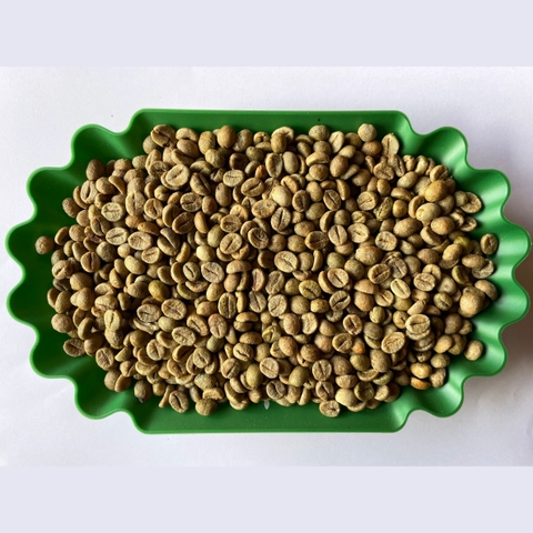 Robusta clean screen 18