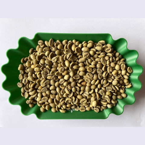 Robusta wet polished