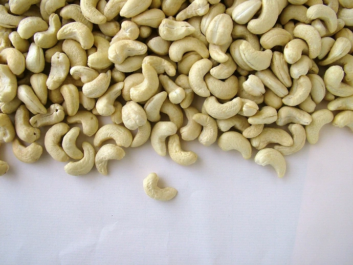 Cashew kernels WW240
