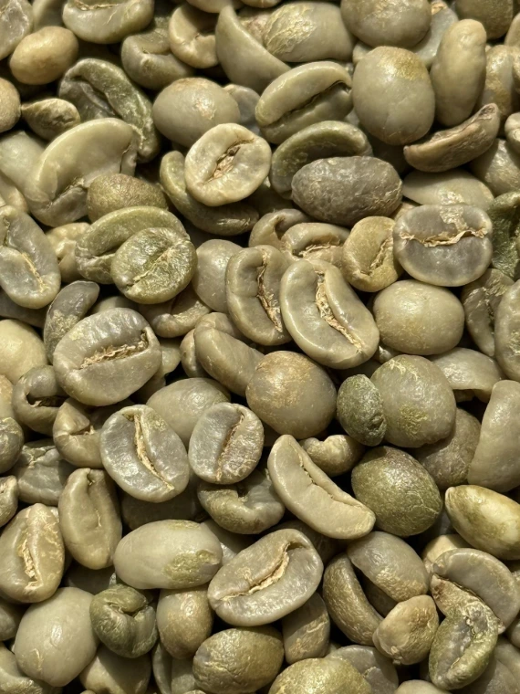 Coffee